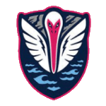 South Georgia Tormenta FC شعار South Georgia Tormenta FC