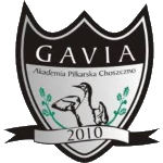 Gavia Choszczno شعار Gavia Choszczno