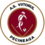 شعار AS Viitorul Pecineaga