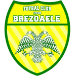 شعار AFC 1948 Brezoaele