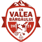 CS Valea Bârgăului 2021 شعار CS Valea Bârgăului 2021