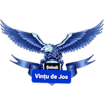 شعار AFC Șoimii Vințu de Jos