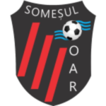 شعار ACS Someșul Oar