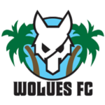 شعار Wolues FC