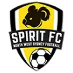 شعار NWS Spirit