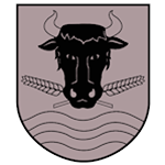 شعار Vimobilia Będzino