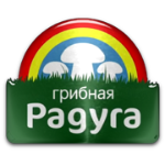 FC Gribnaya Raduga Kursk شعار FC Gribnaya Raduga Kursk