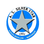 شعار Silver Star