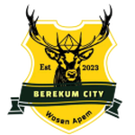 شعار Berekum City FC