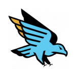 شعار FC Birmingham