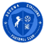 Dodowa Stallions FC
