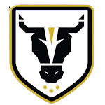 شعار Bulls FC Academy