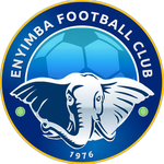 شعار Enyimba Feeders Fc