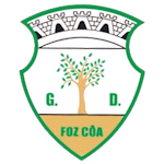 شعار GD Vila Nova Foz Côa