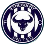 Eynesbury United FC