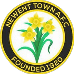 Newent Town AFC