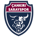 Çankırı Sarayspor شعار Çankırı Sarayspor