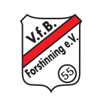 VfB Forstinning