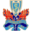 Llandrindod Wells FC شعار Llandrindod Wells FC