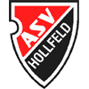 شعار ASV Hollfeld