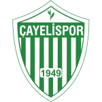 Çayeli Spor