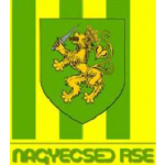 شعار Nagyecsed FC Senior