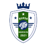 شعار Nilüfer Kızılcıklıspor