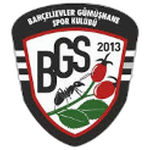 شعار Bahçelievler Gümüşhane Spor