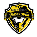 شعار Kocasinan Şimşekspor