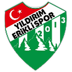 شعار Yıldırım Erikli Gençlikspor