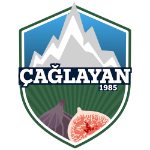 شعار Bursa Çağlayanspor