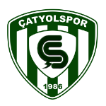 شعار Çatyol Belediyespor
