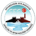 شعار Sur Bağıvar Gençlik