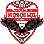 شعار AFC Câmpulung Muscel U19
