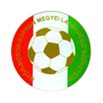 شعار GY-M-S Megye I. osztály