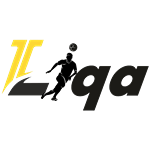 شعار İkinci Liqa